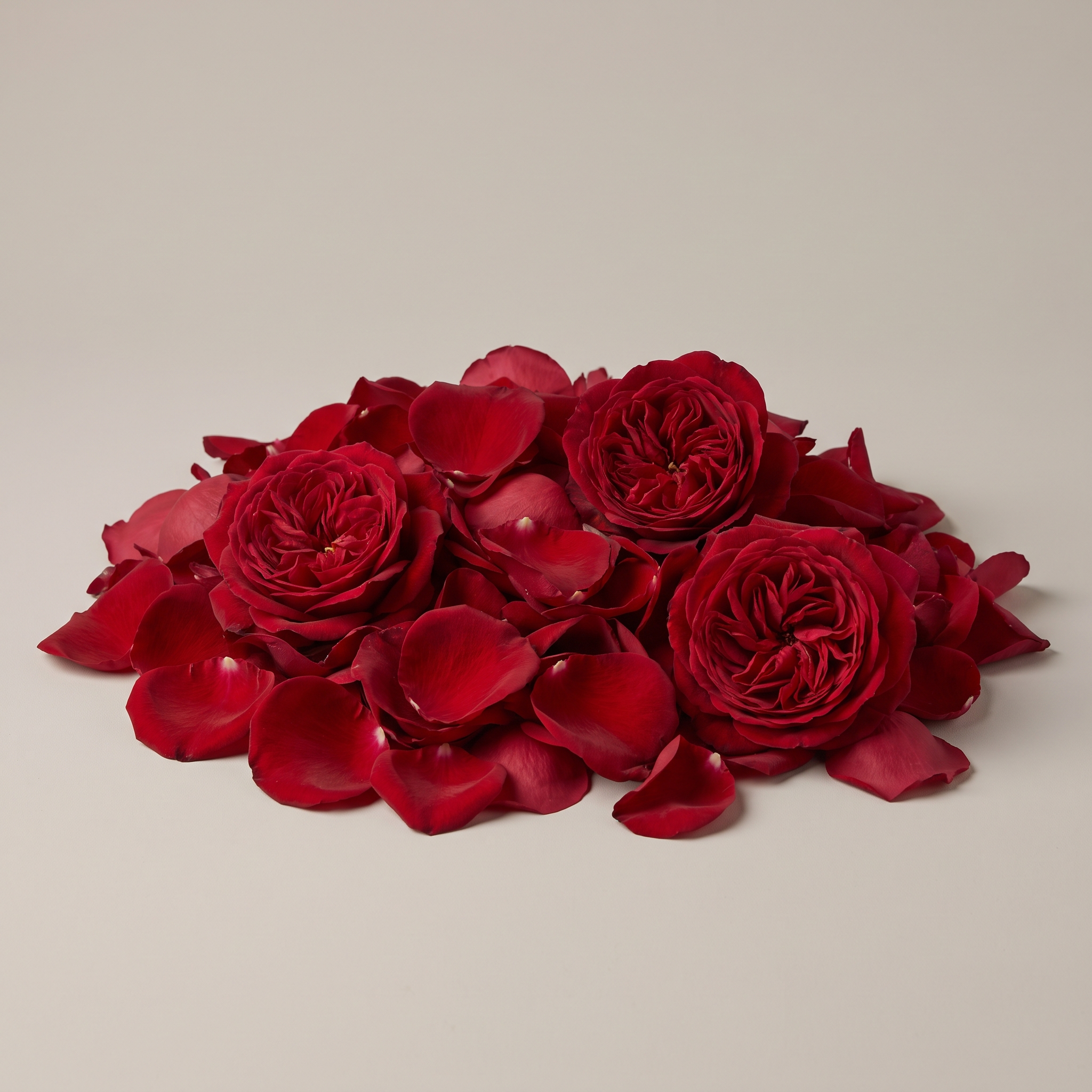 Rose Petals