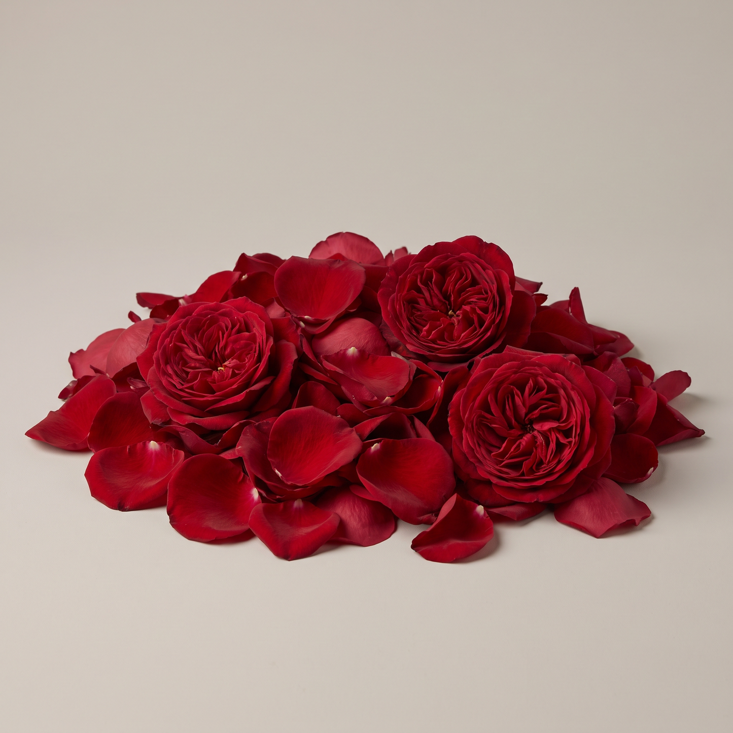 Rose Petals