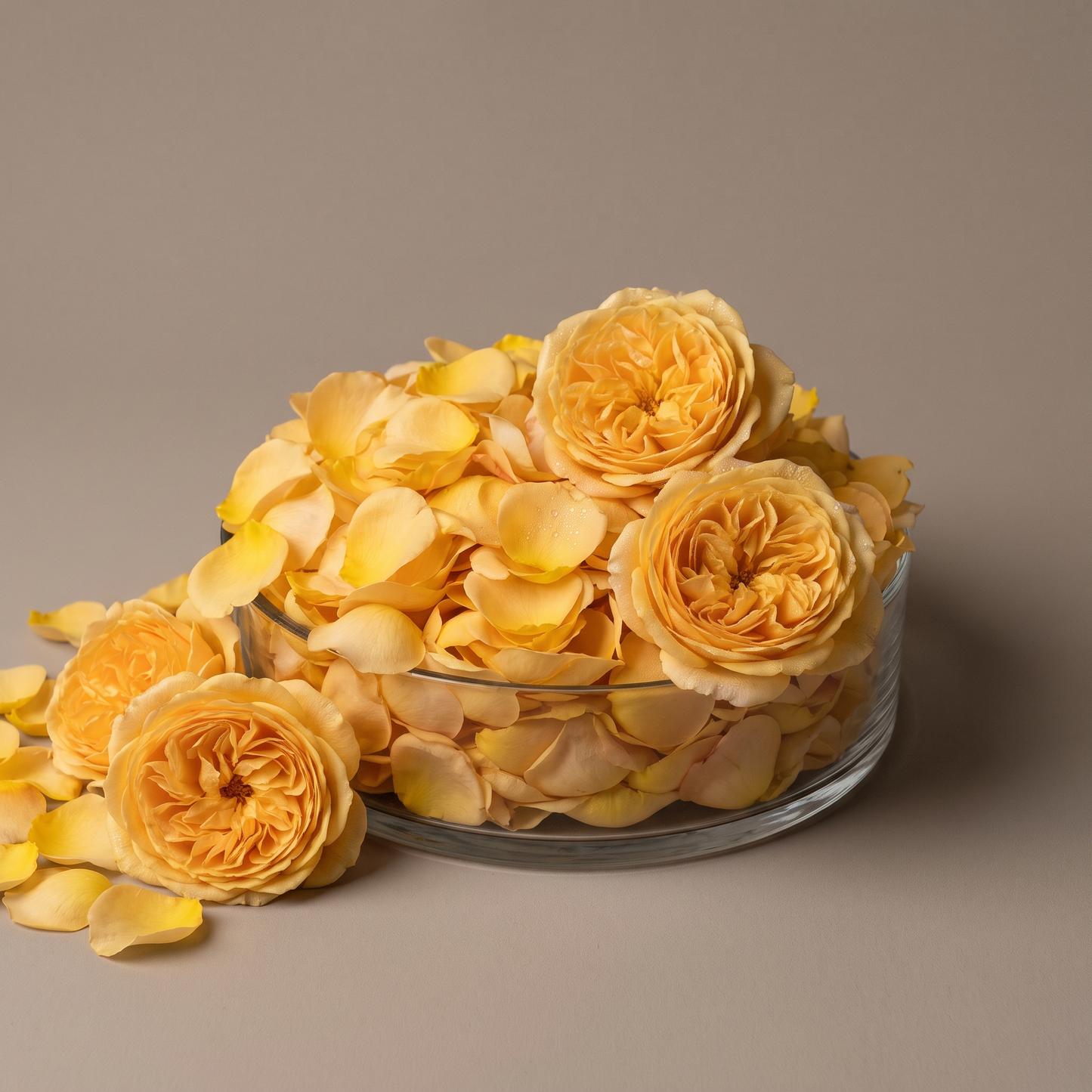 Rose Petals