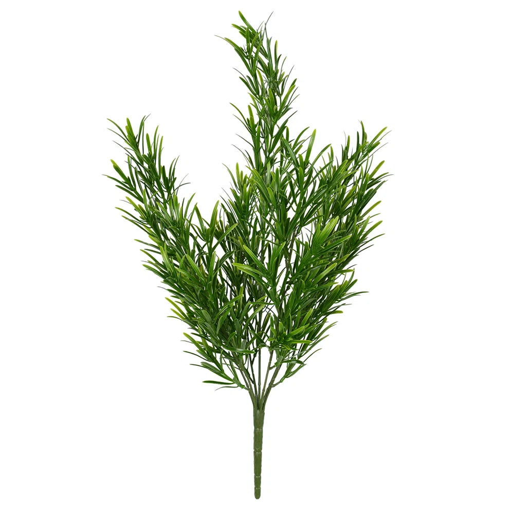 Podocarpus — Fine-Needle Green (10-Stem Bunch)