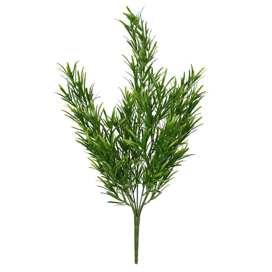 Podocarpus — Fine-Needle Green (10-Stem Bunch)