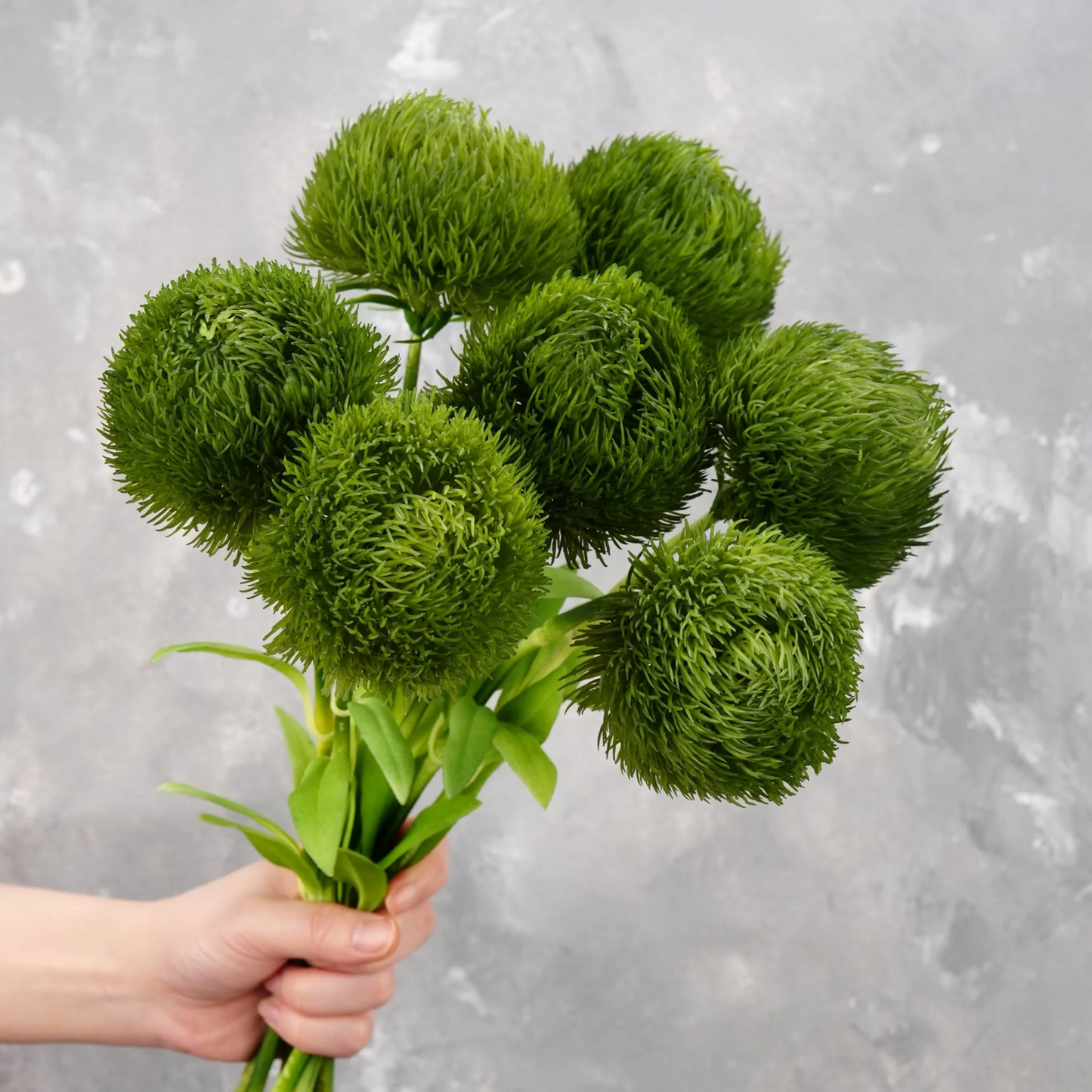 Dianthus Green Balls— Textural Green Sphere Accent (10-Stem Bunch)