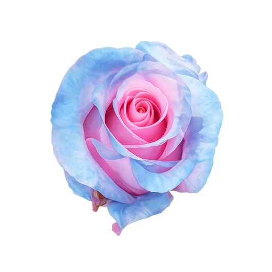 Cotton Candy