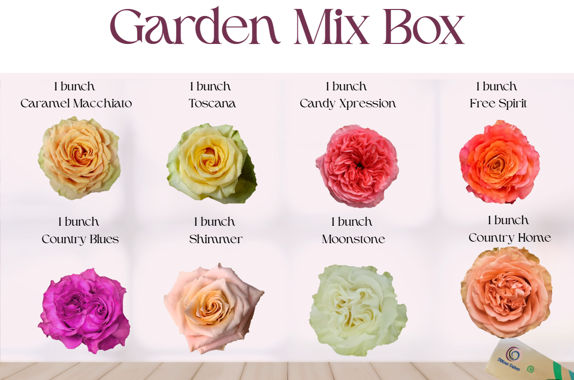 Garden Mix Box