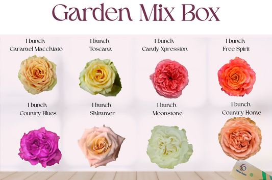 Garden Mix Box