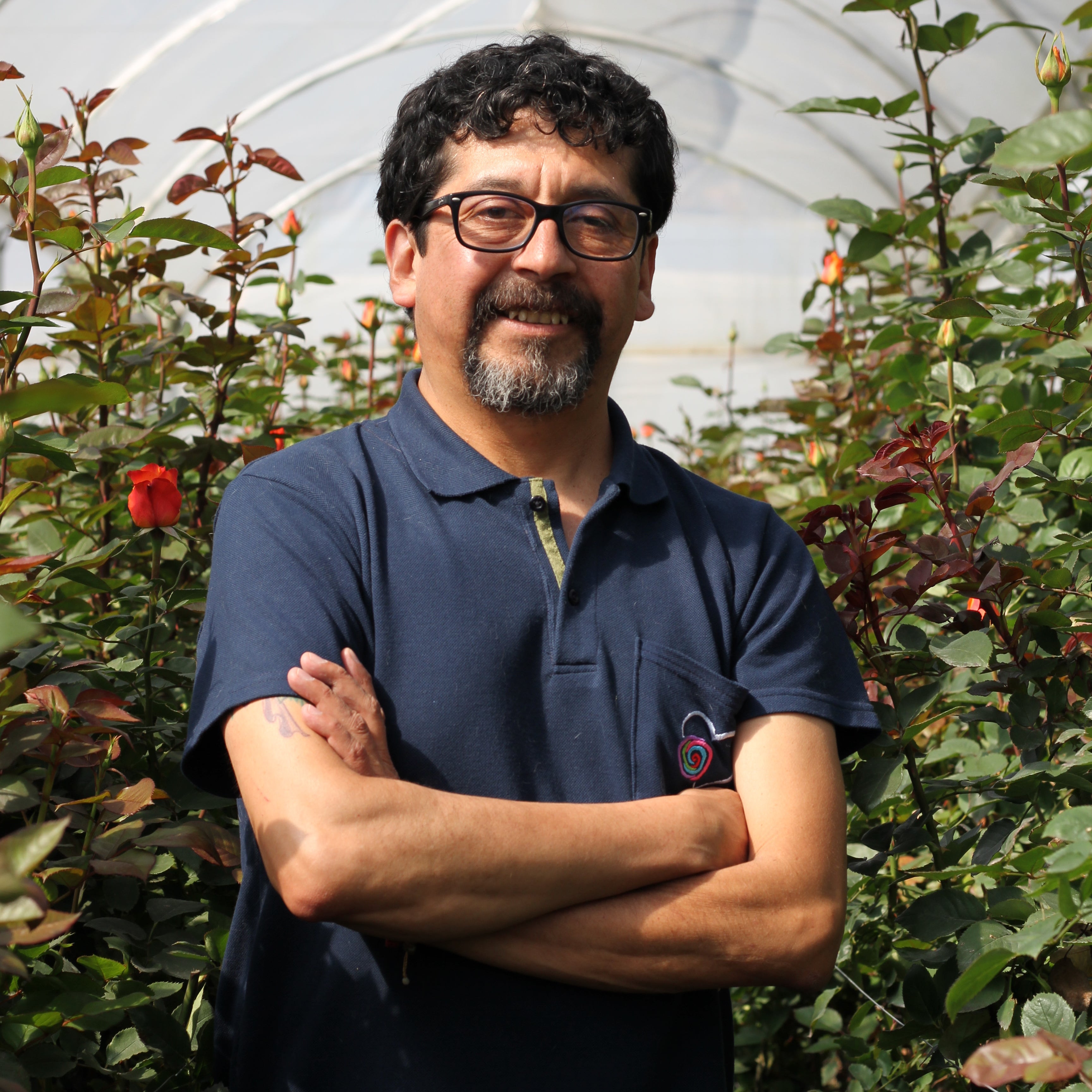 Renato Hernandez