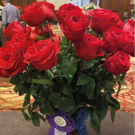Victorian Red Best In Class