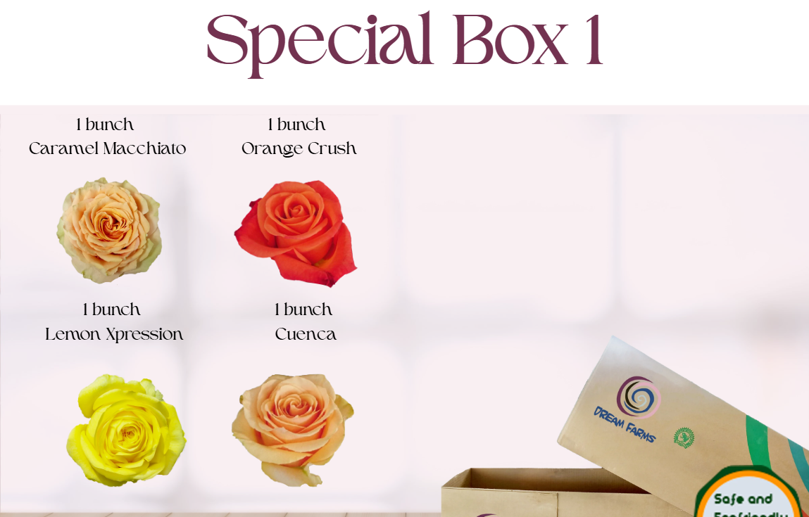 Special Box 1