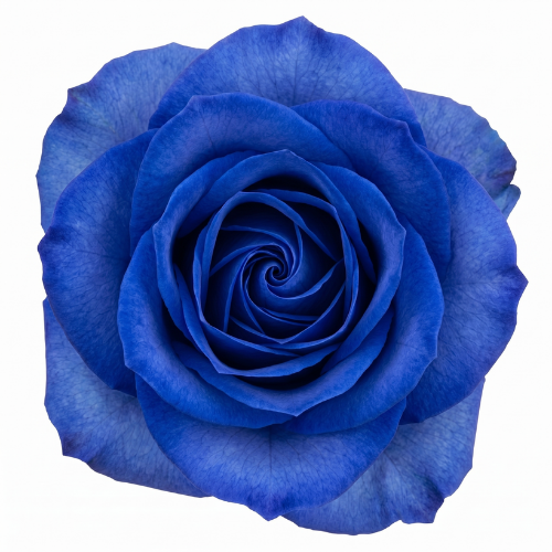 Saphire (Blue)