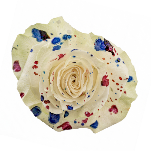 Tinted 4th of July – Red, White & Blue