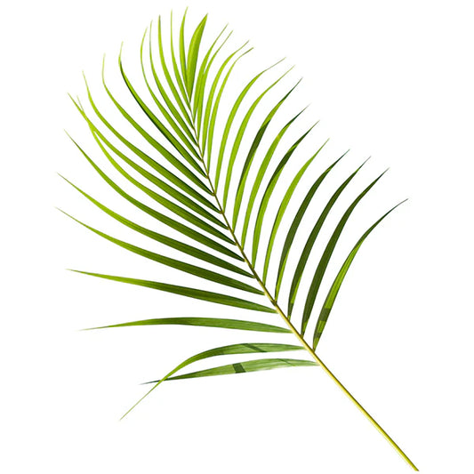 Palm — Tropical Line Green (10-Stem Bunch)