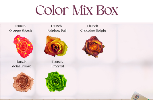 Color Mix Box