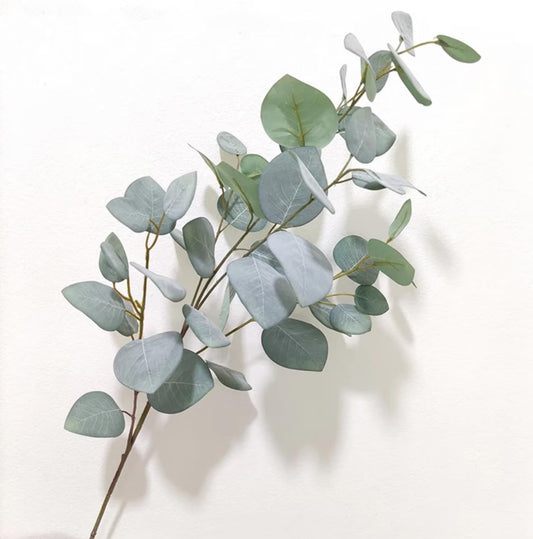 Silver Dollar Eucalyptus — Signature Greenery (10-Stem Bunch)