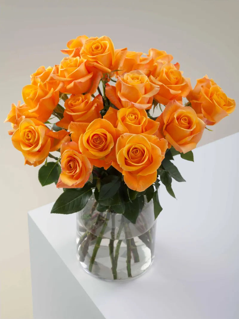 Aloha (Orange)