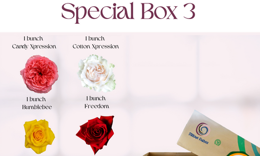 Special Box 3