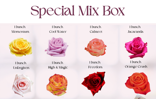 Special Mix Box