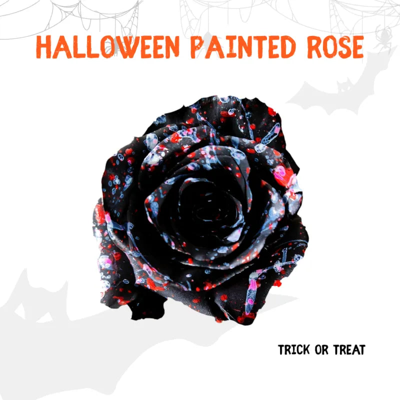 Tinted - Halloween Collection