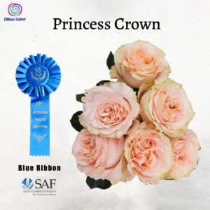 Princess Crown (Pink & Peach)