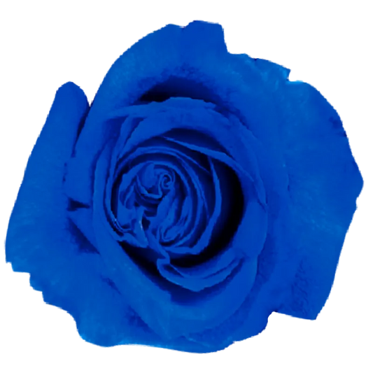 Saphire (Blue)
