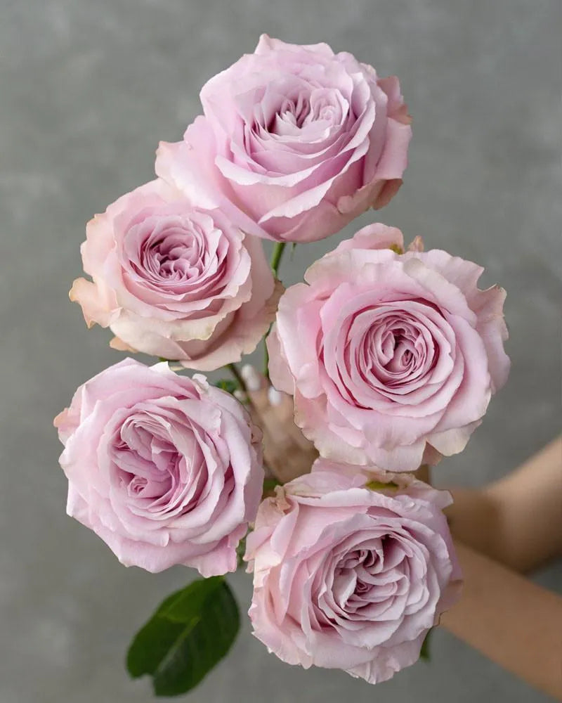 Sweet 4 Love (Light Pink)