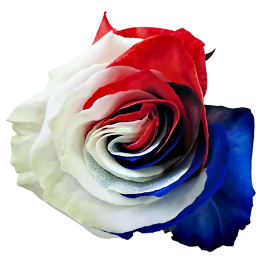 Red, White & Blue