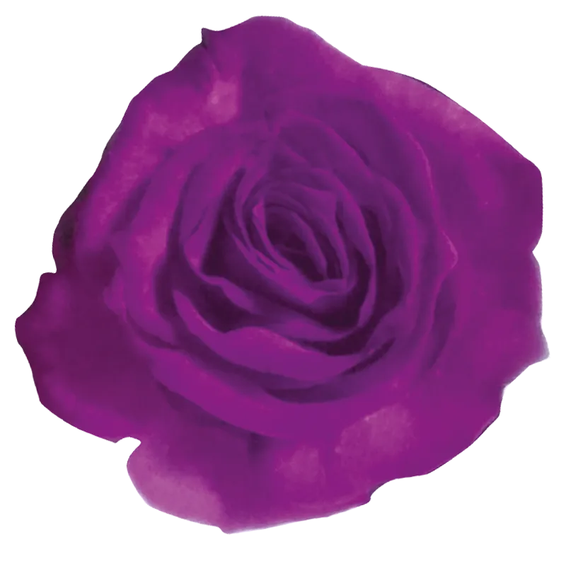 Amethyst (Purple)