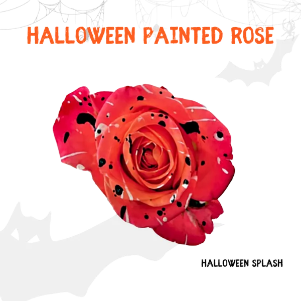 Tinted - Halloween Collection