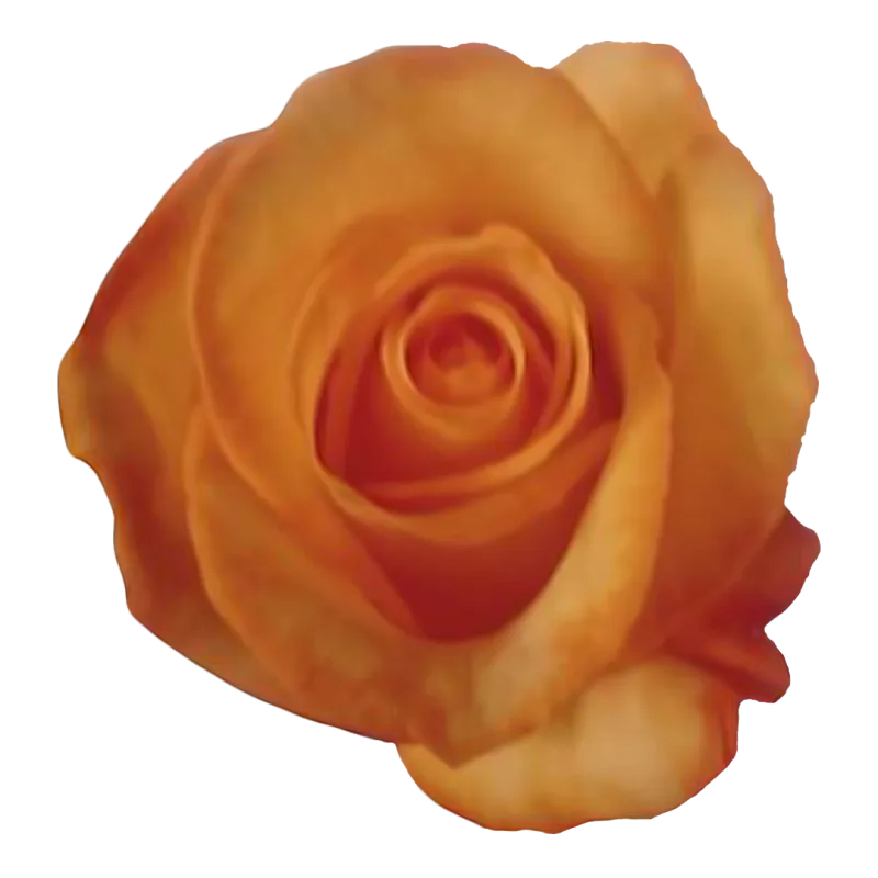 Citrine (Yellow)