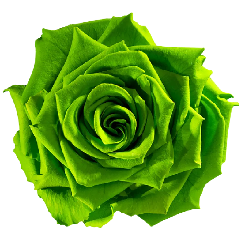 Emerald (Green)