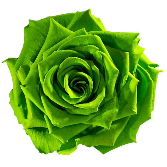 Emerald (Green)