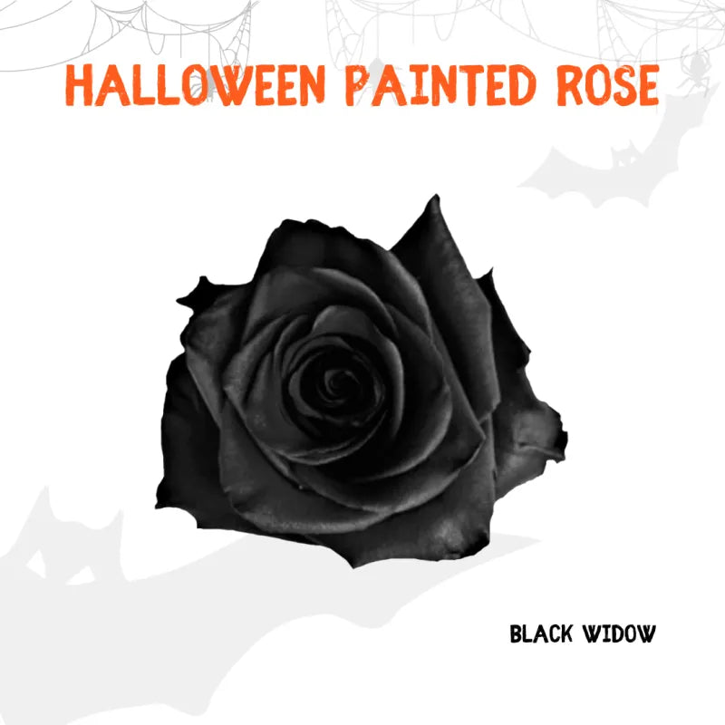 Tinted - Halloween Collection